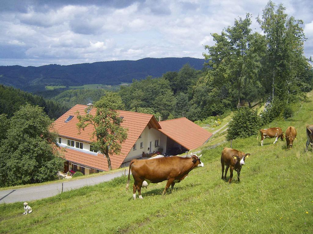 Langenberghof Apartment Oberharmersbach Exterior photo