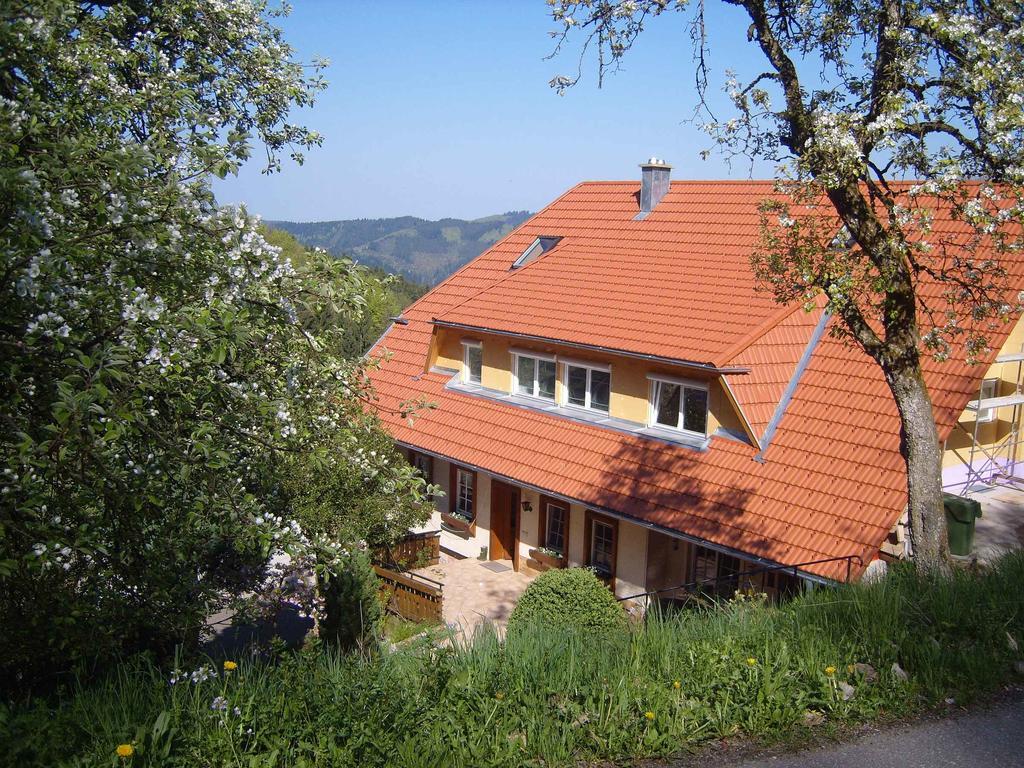 Langenberghof Apartment Oberharmersbach Exterior photo