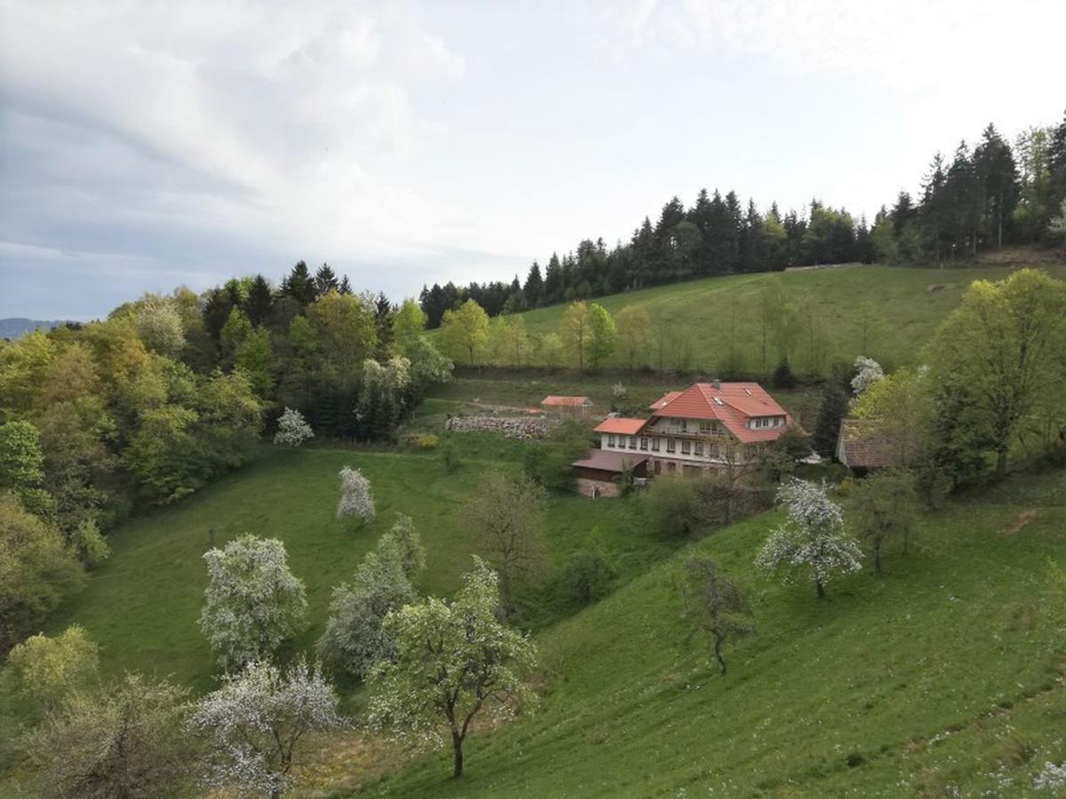 Langenberghof Apartment Oberharmersbach Exterior photo