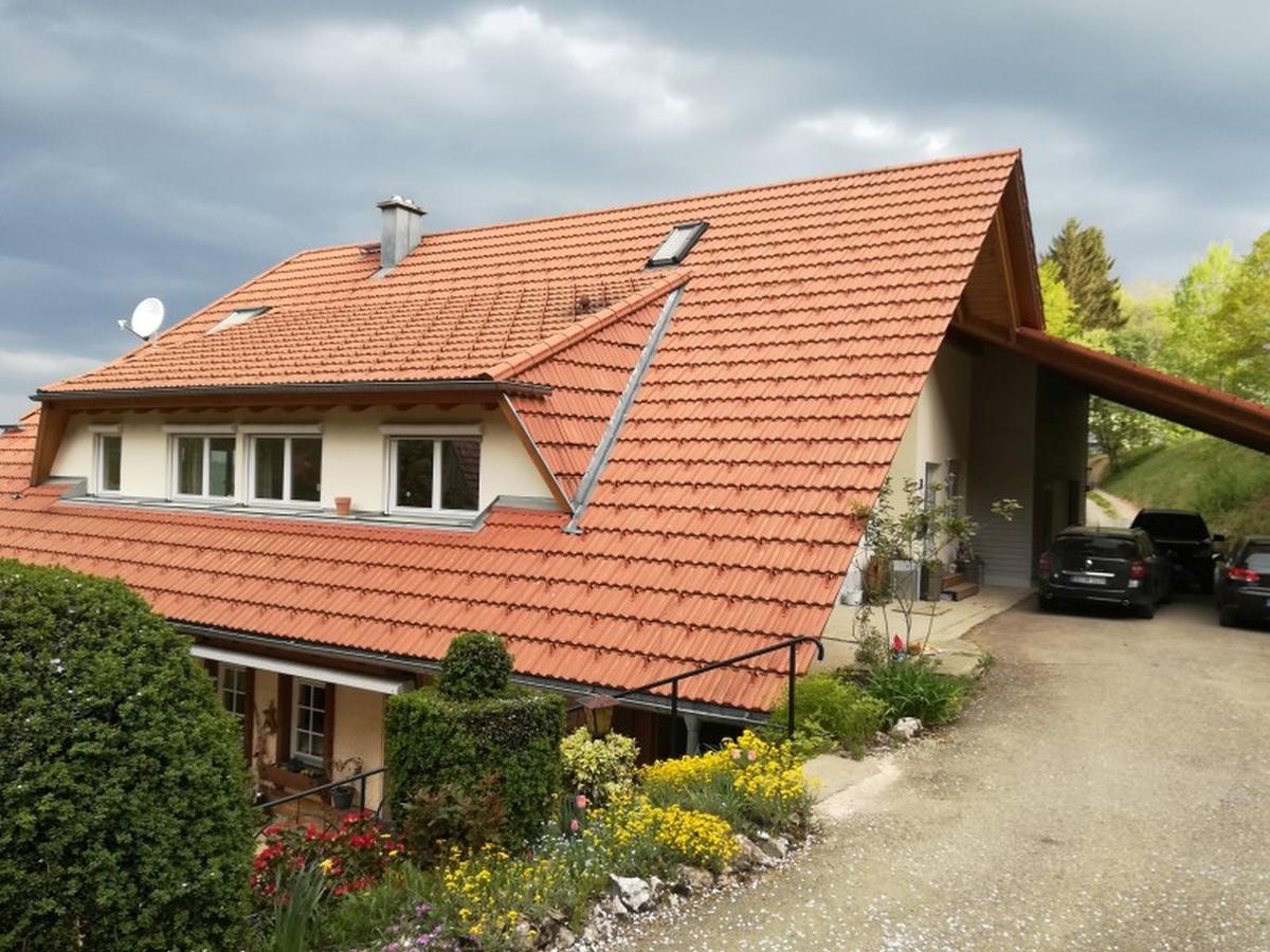 Langenberghof Apartment Oberharmersbach Exterior photo